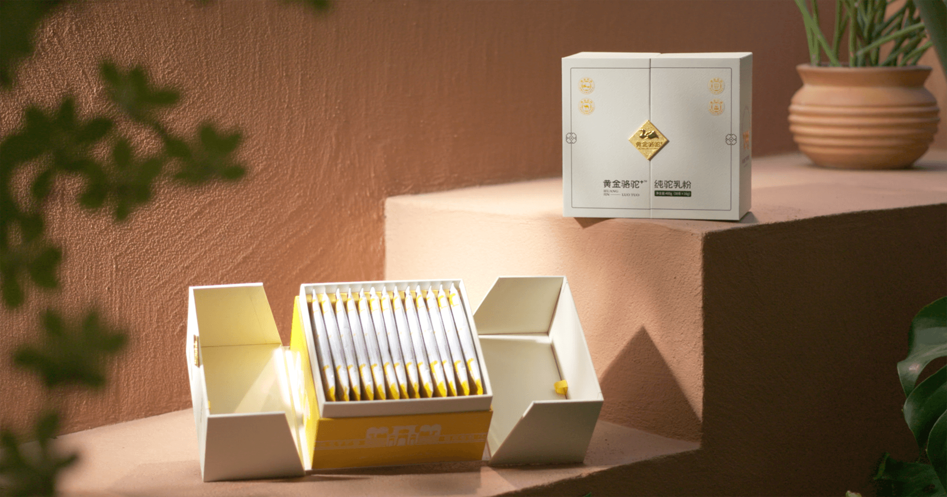 定位小众高端乳粉，AG庄闲推出驼奶品牌“黄金骆驼+”，角逐乳品新市场！